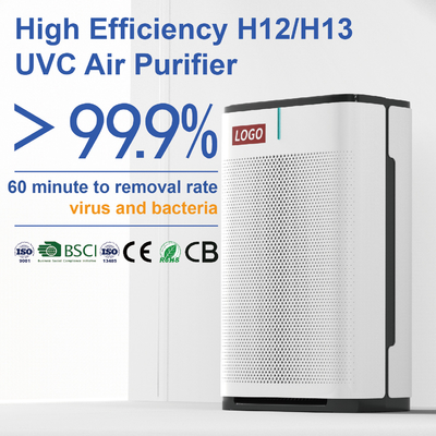Máy lọc không khí tại nhà cho vi rút và vi khuẩn
